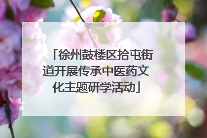 徐州鼓楼区拾屯街道开展传承中医药文化主题研学活动